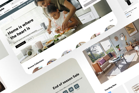 Best Shopify Theme