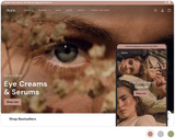 Shopify Theme - Aura