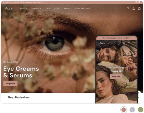 Shopify Theme - Aura